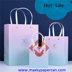 Christmas Gift Paper Bag
